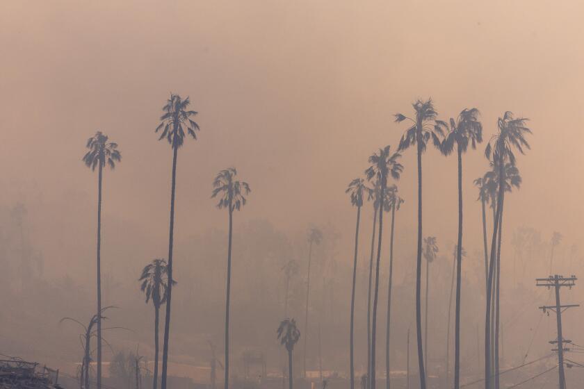 Malibu, CA - January 08: SMole obscures the devastation of homes by the Palisades fire on PCH on Wednesday, Jan. 8, 2025 in Malibu, CA. (Brian van der Brug / Los Angeles Times)