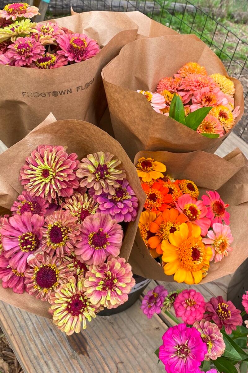 Frogtown Flora bouquets of pink and orange flowers in brown paper cones.