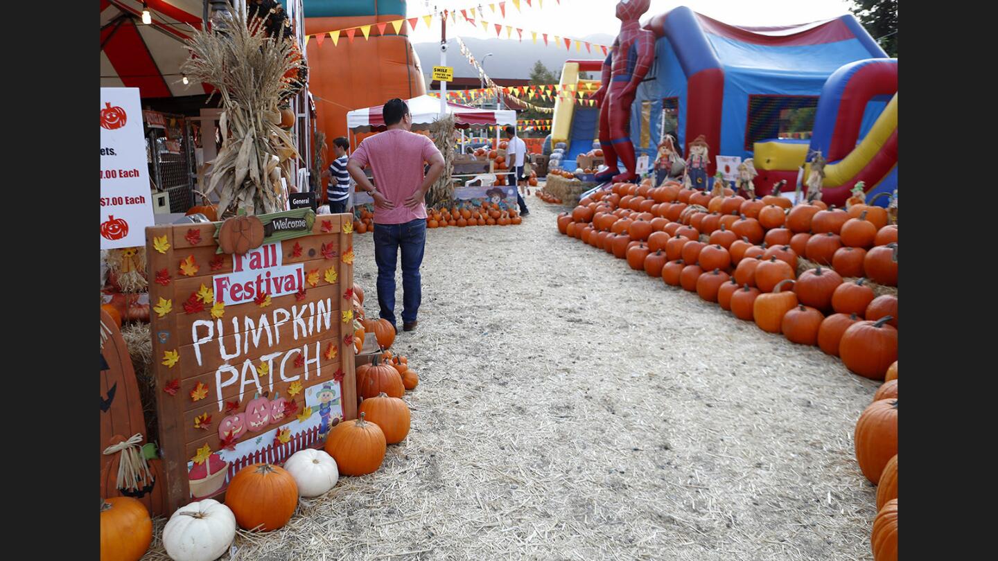 Photo Gallery: Pumpkins, zoo and slides at La Crescenta Pumpkin Patch