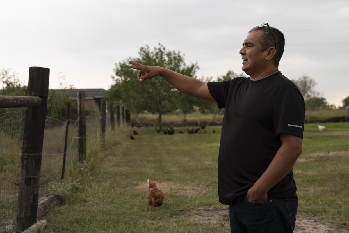 Raúl Rodríguez muestra su ganado y pollos en su casa en San Benito, Texas.