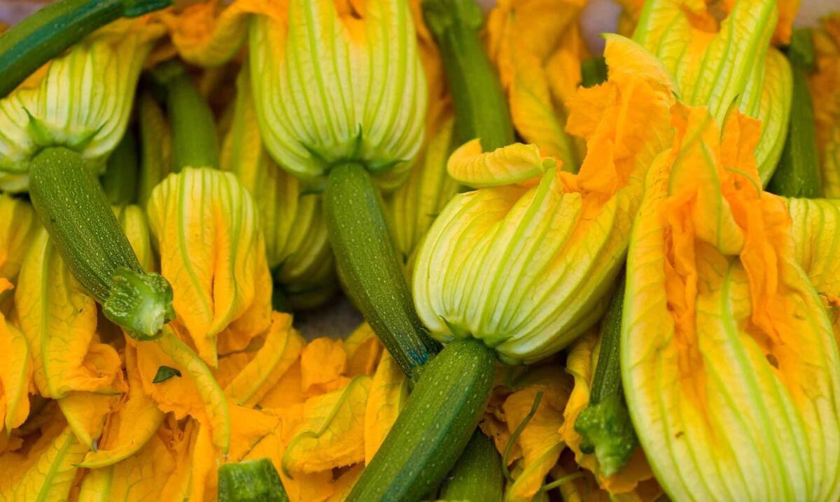 Edible Flowers - from Apple Blossoms to Zucchini