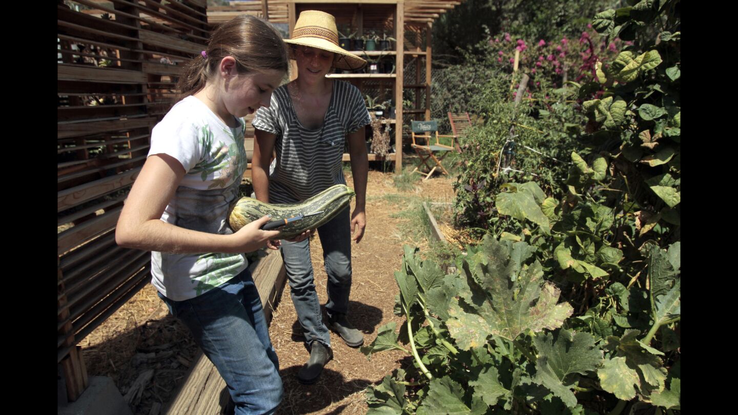 In addition to the equestrian program, the girls learn all aspects of a "seed-to skillet" program -- planting more than 300 vegetables, and propagating, tending and cooking what they have grown.