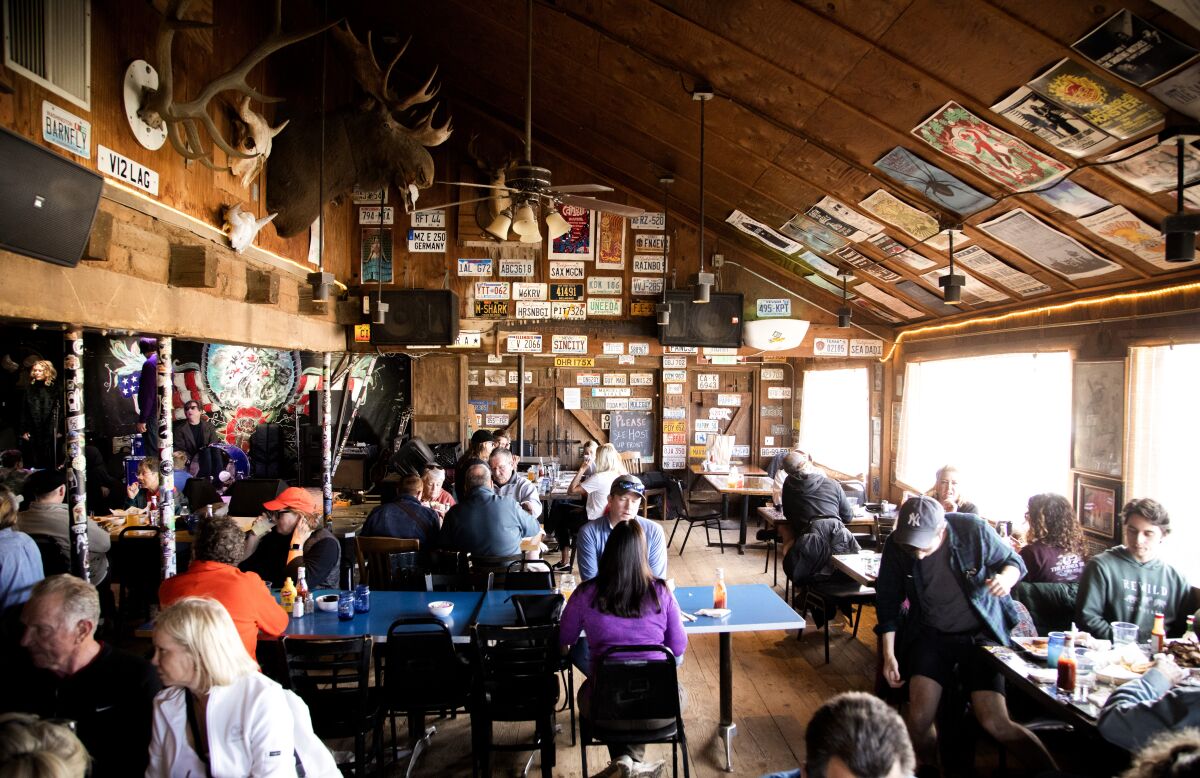 A rustic dining room with a moose head and antlers on one wall.