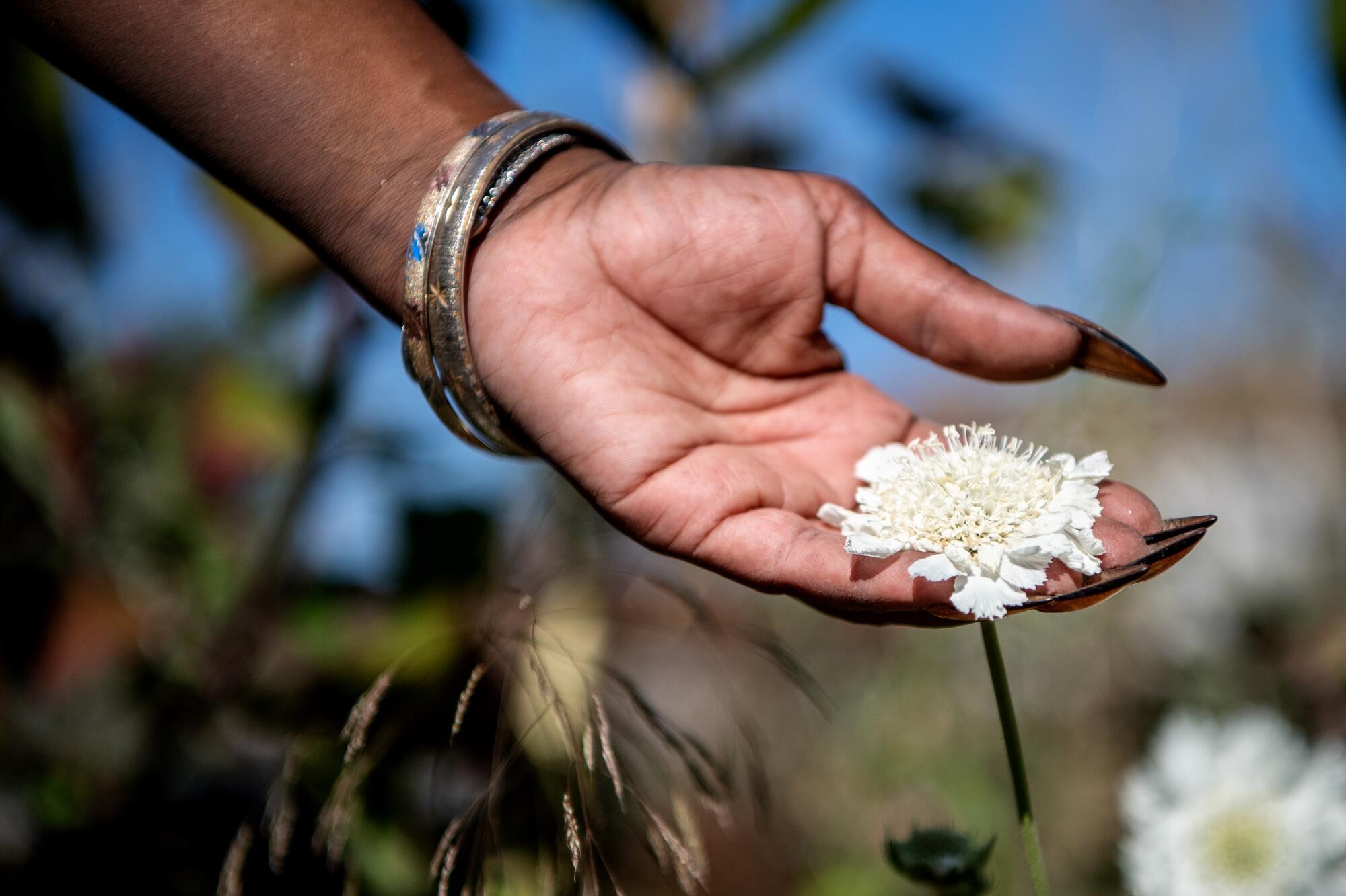 Genea Richardson's hand caresses a white flower.