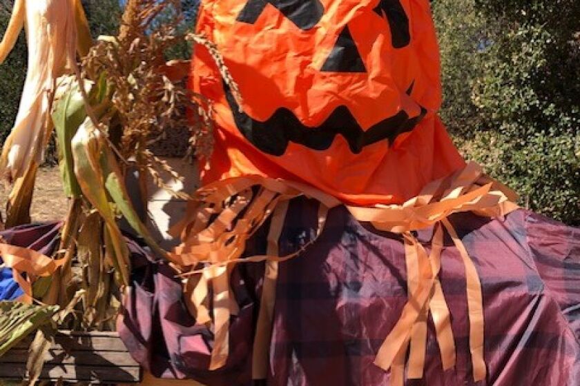 Halloween festivities are happening throughout North County