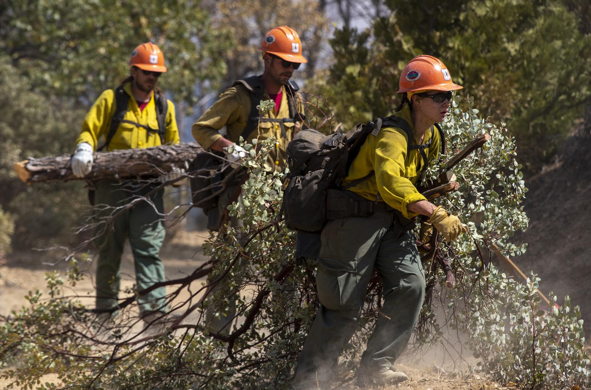Firefighters carry a small downed tree 