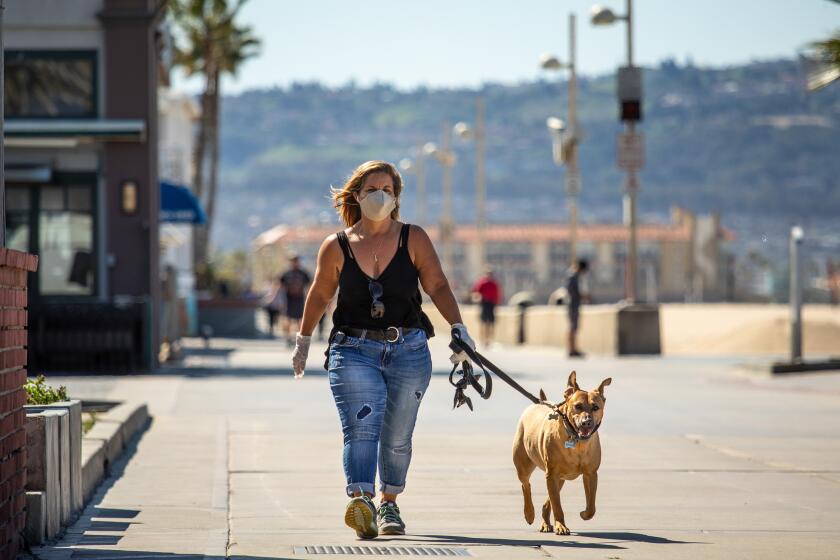 HERMOSA BEACH, CA --MARCH 26, 2020 -A woman wearing gloves and a mask over her mouth and nose, walks her dog along The Strand in Hermosa Beach, CA, March 26, 2020, even after Gov. Gavin Newsom declared his policy of "safer at home," to help slow the spread of the coronavirus. (Jay L. Clendenin / Los Angeles Times)(