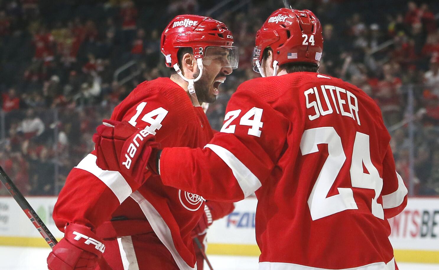 Detroit Red Wings: Bertuzzi is What the Wings Need