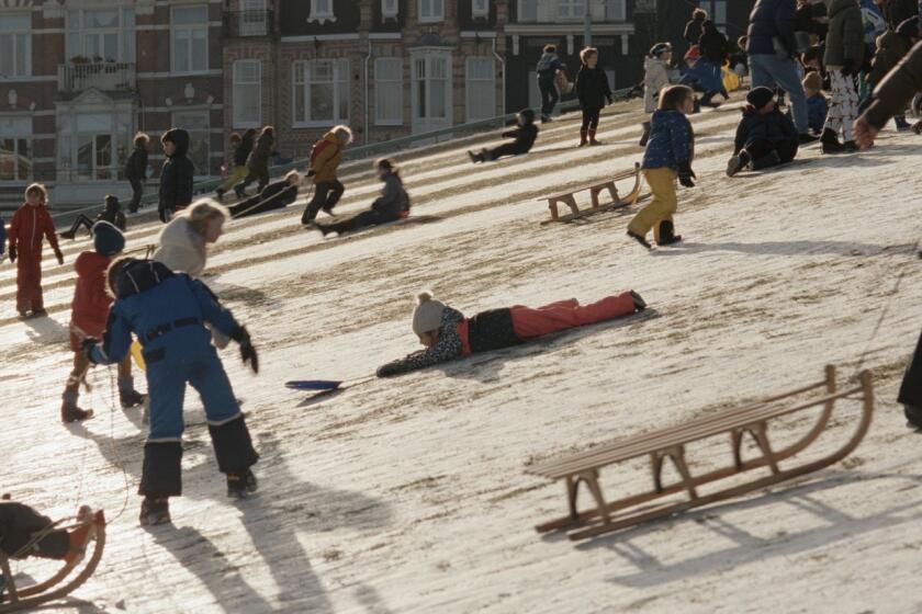 Children and families tobogganing in Amsterdam