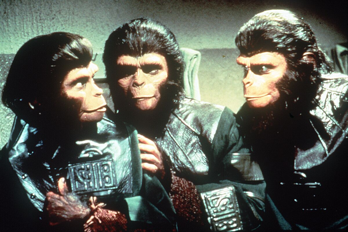 A scene from the "Planet of the Apes” (1968).