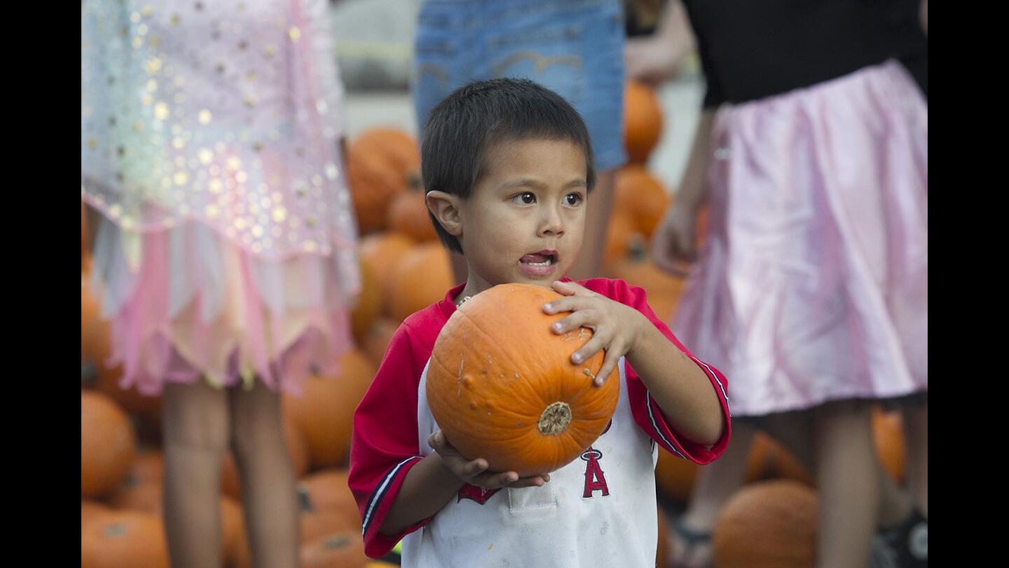 Torelli Halloween Party a Family Affair