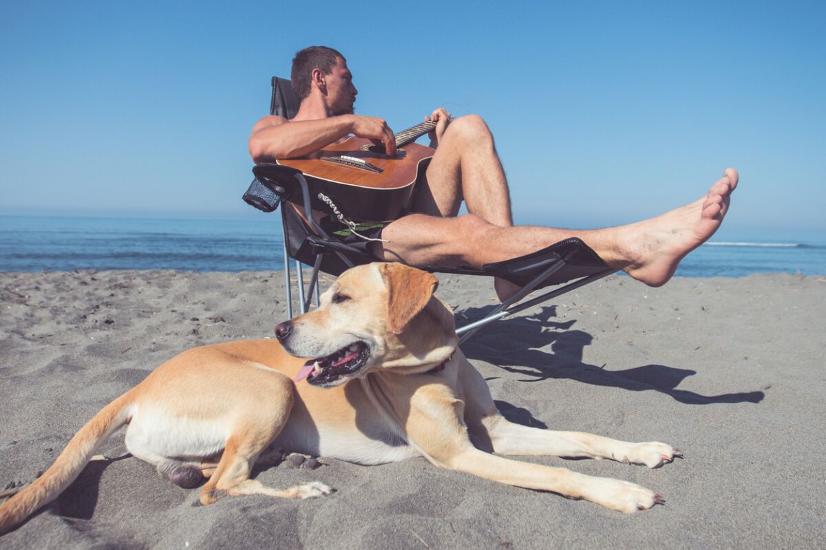 A new study reveals that dogs may prefer music of Bob Marley and Fleetwood Mac over Baha Men or Snoop Dogg. (iStock)