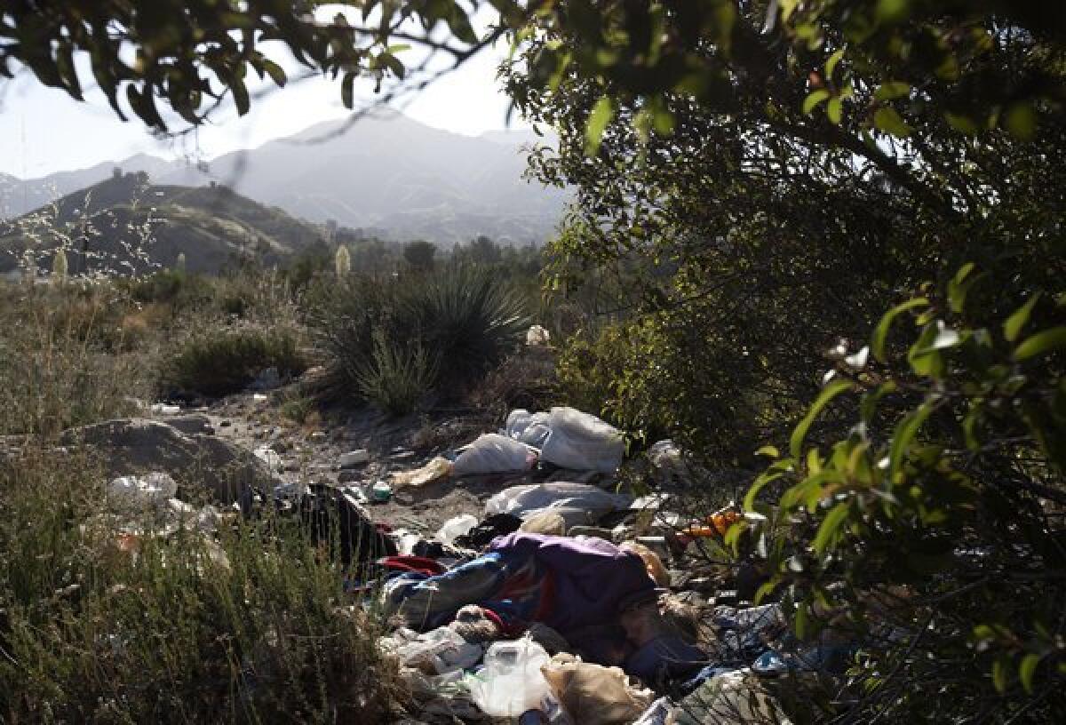 A homeless camp in Tujunga Wash is shown.