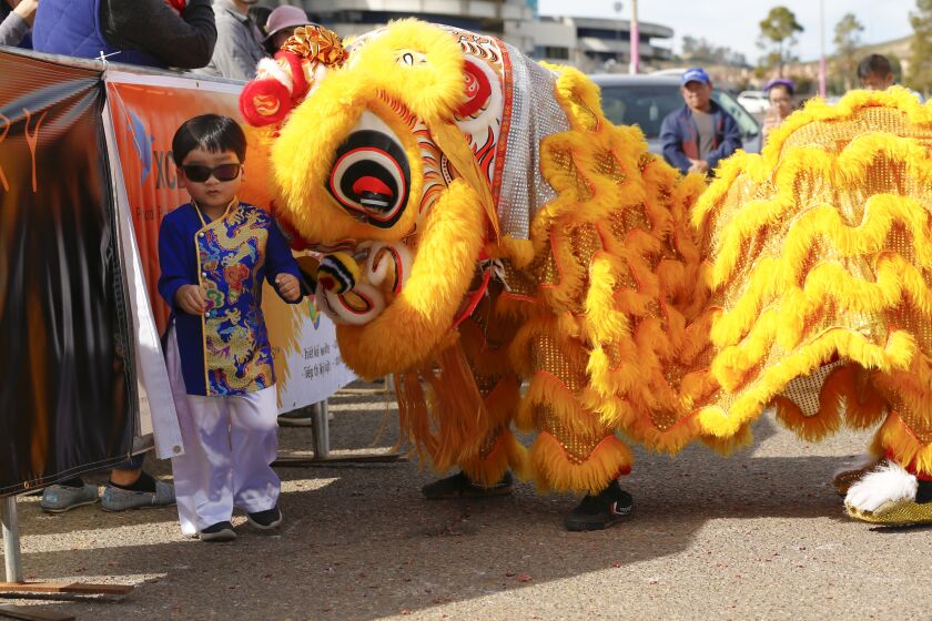 Arthur Tran, 3 walks away from the lion during opening ceremonies to Sunday's celebration of 10th Annual San Diego Lunar New Year Festival at SDCCU Stadium in San Diego, January 19, 2020. The festival a three-day celebration beginning on Friday in San Diego for the Lunar New Year 2020, Happy Year of the Rat.