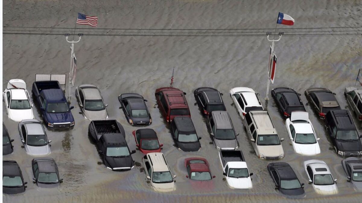 Vehicles sit in floodwaters after Hurricane Harvey at a Houston dealership on Aug. 29.