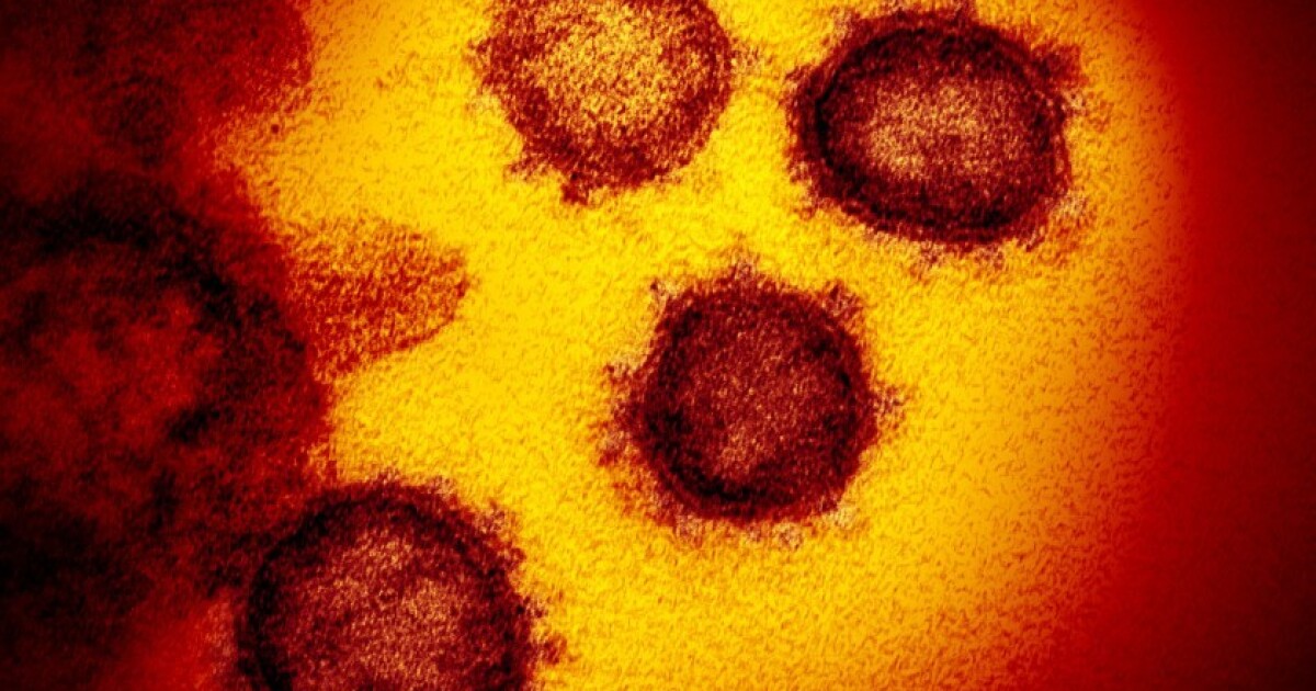 La variante delta est la souche de coronavirus la plus répandue en Californie ا