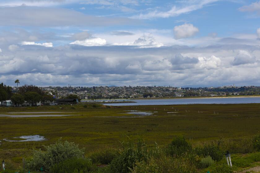Kendall-Frost Mission Bay Marsh Reserve on the corner of Pacific Beach Drive and Crown Point Drive with Campland on the Bay in the back left.