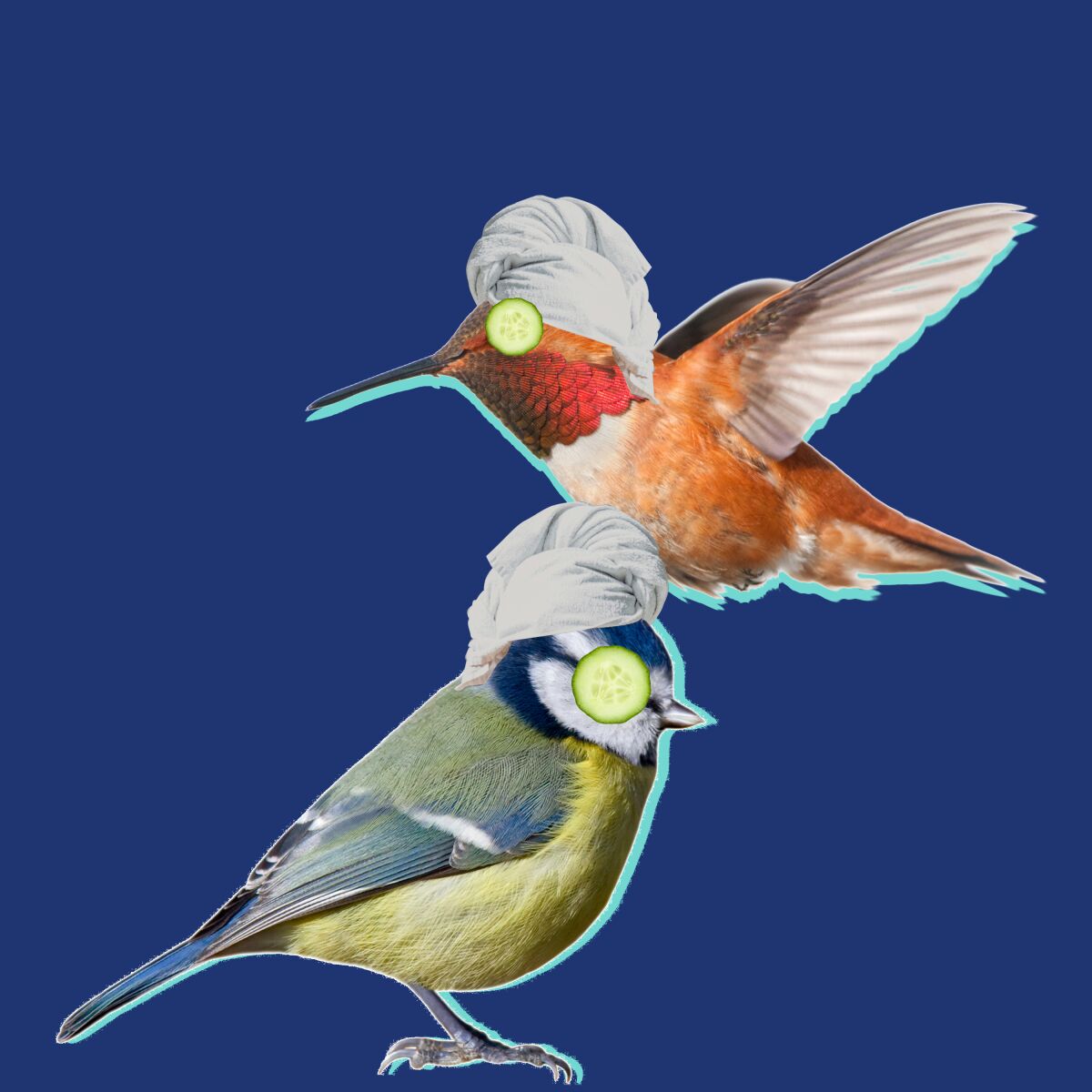 Illustration of birds with spa turbans and cucumber slices on their eyes