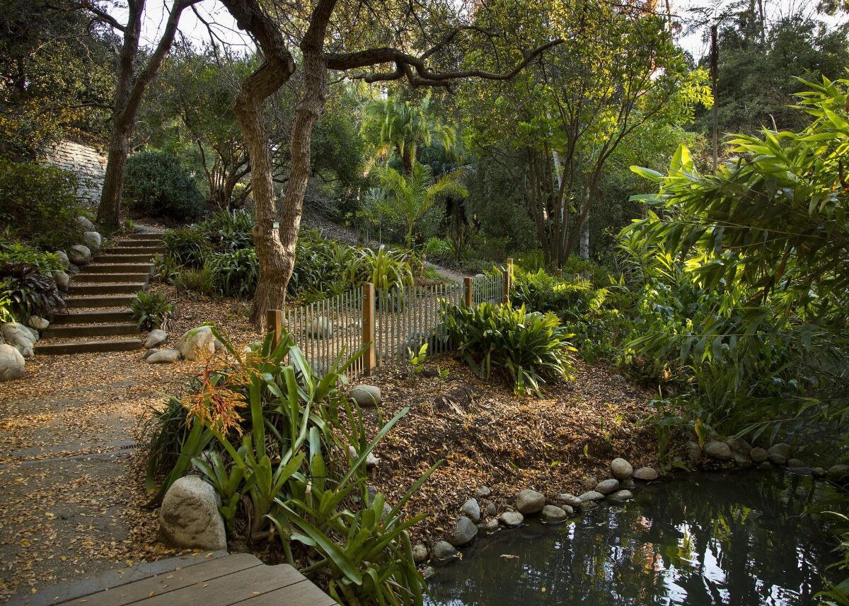 UCLA’s Mildred E. Mathias Botanical Garden is just a quick detour off the 405.