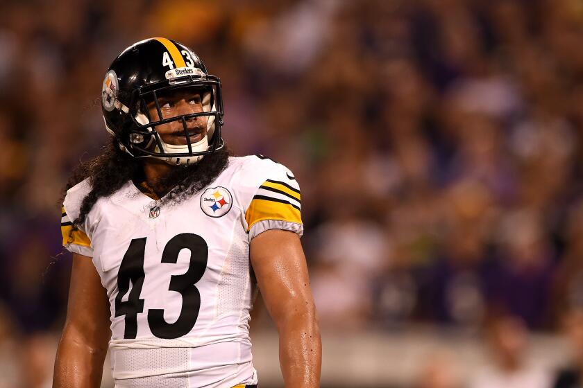 Steelers safety Troy Polamalu looks on during the fourth quarter of a game against the Ravens on Sept. 11, 2014.