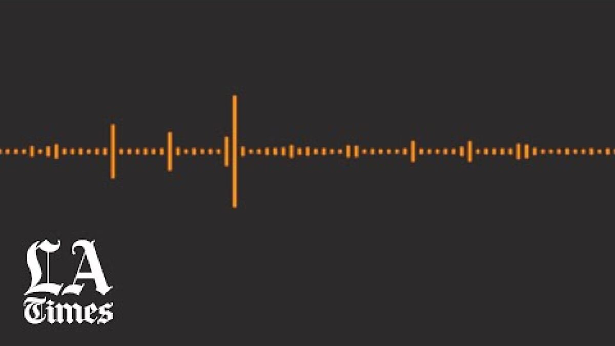 Listen: Radio call to LAX tower raises questions about jet ...