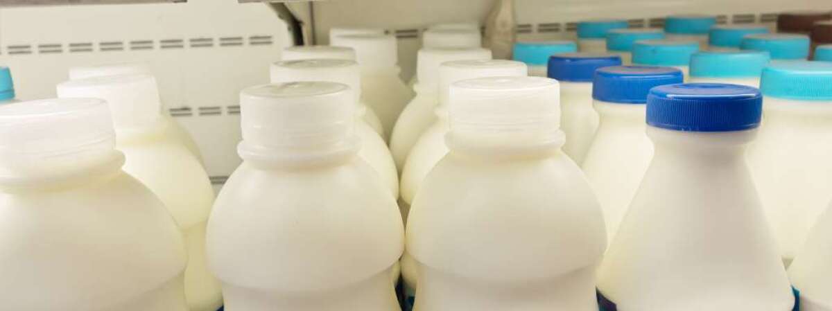 Por qué la formula 1-3 años es mejor que leche de vaca?