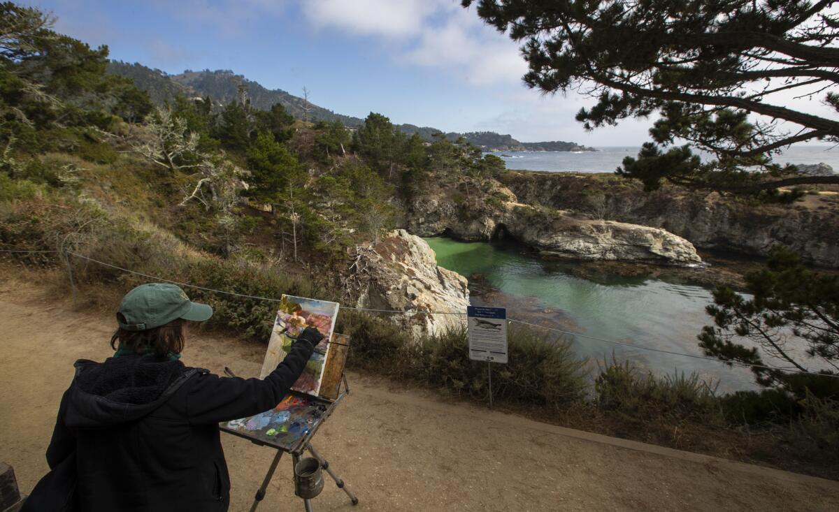 Hilary Mills paints the emerald green waters of China Cove at Point Lobos State Natural Reserve on the Big Sur coast on Aug. 2, 2018.