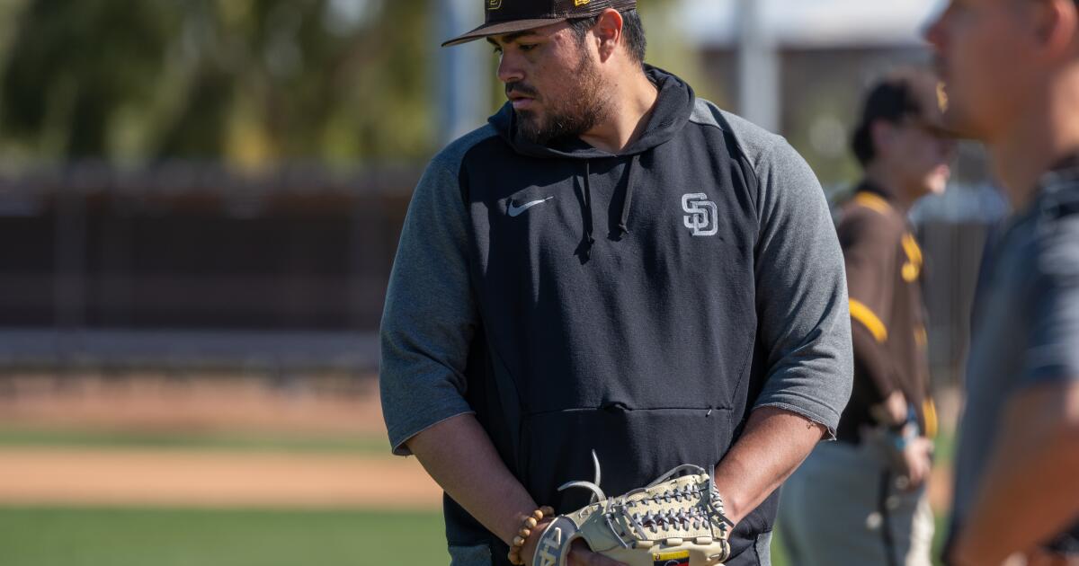 Padres roster review: Jose Castillo - The San Diego Union-Tribune