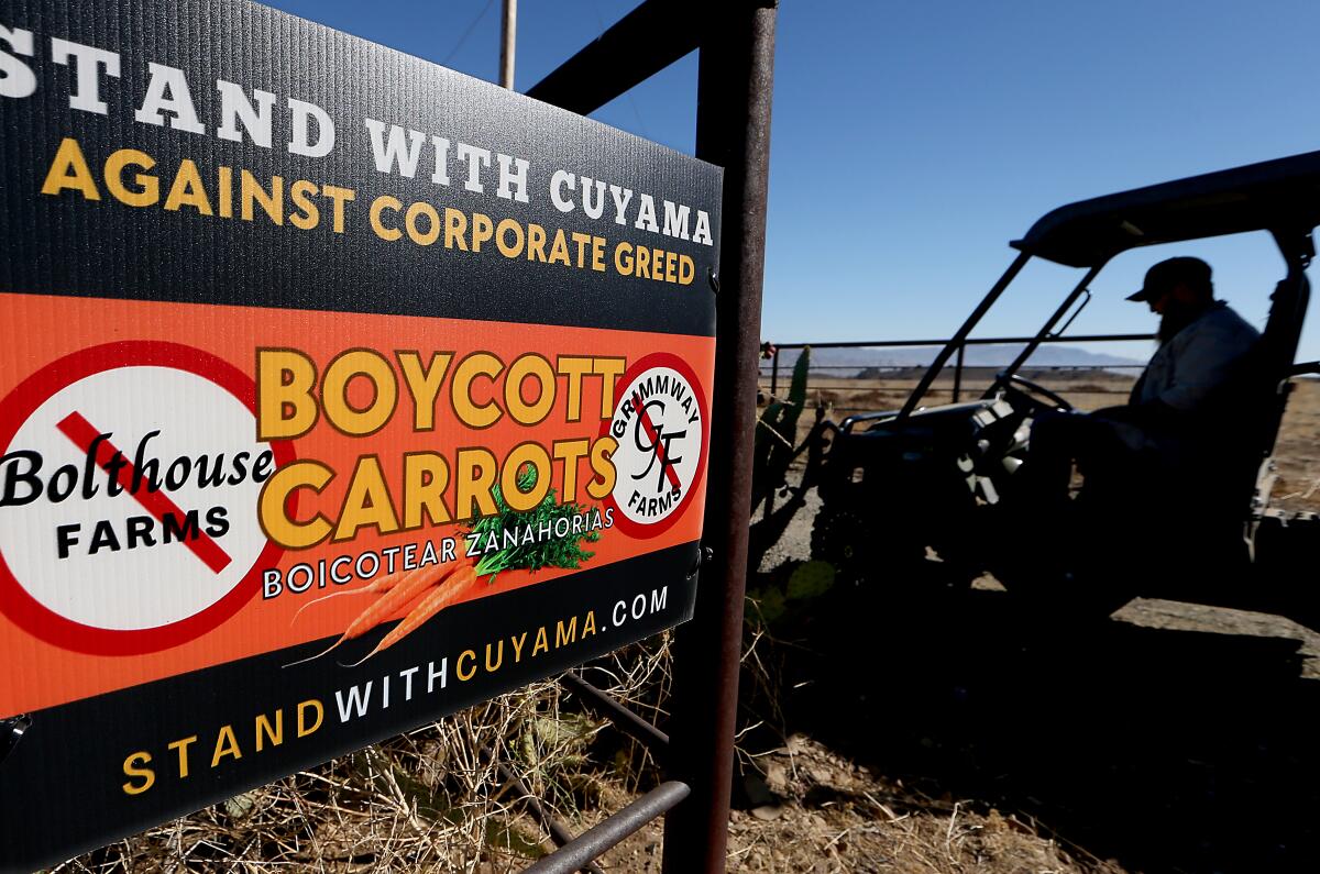 A sign promoting a carrot boycott hangs at the entrance to Charlie Bosma's small ranch in the Cuyama Valley.