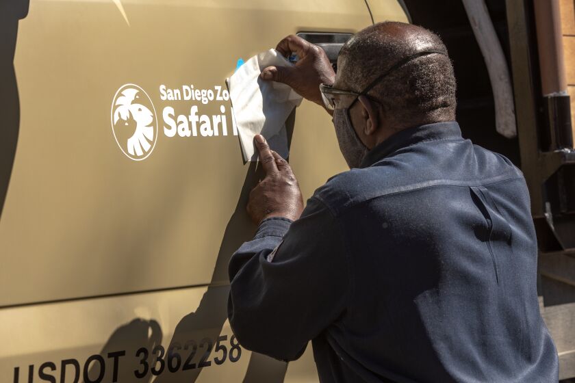 ESCONDIDO , CA - MARCH 01: San Diego Zoo Safari ParkOs senior mechanic Darrell Jennings, installs a new Safari Park logo to a vehicle on Monday, March 1, 2021 in Escondido , CA. (Jarrod Valliere / The San Diego Union-Tribune)
