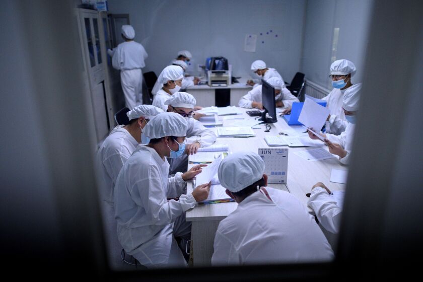 TOPSHOT - Researchers work in a lab at the Yisheng Biopharma company in Shenyang, in Chinas northeast Liaoning province on June 10, 2020. - The company is one of a number in China trying to develop a vaccine for the COVID-19 coronavirus. (Photo by NOEL CELIS / AFP) (Photo by NOEL CELIS/AFP via Getty Images)
