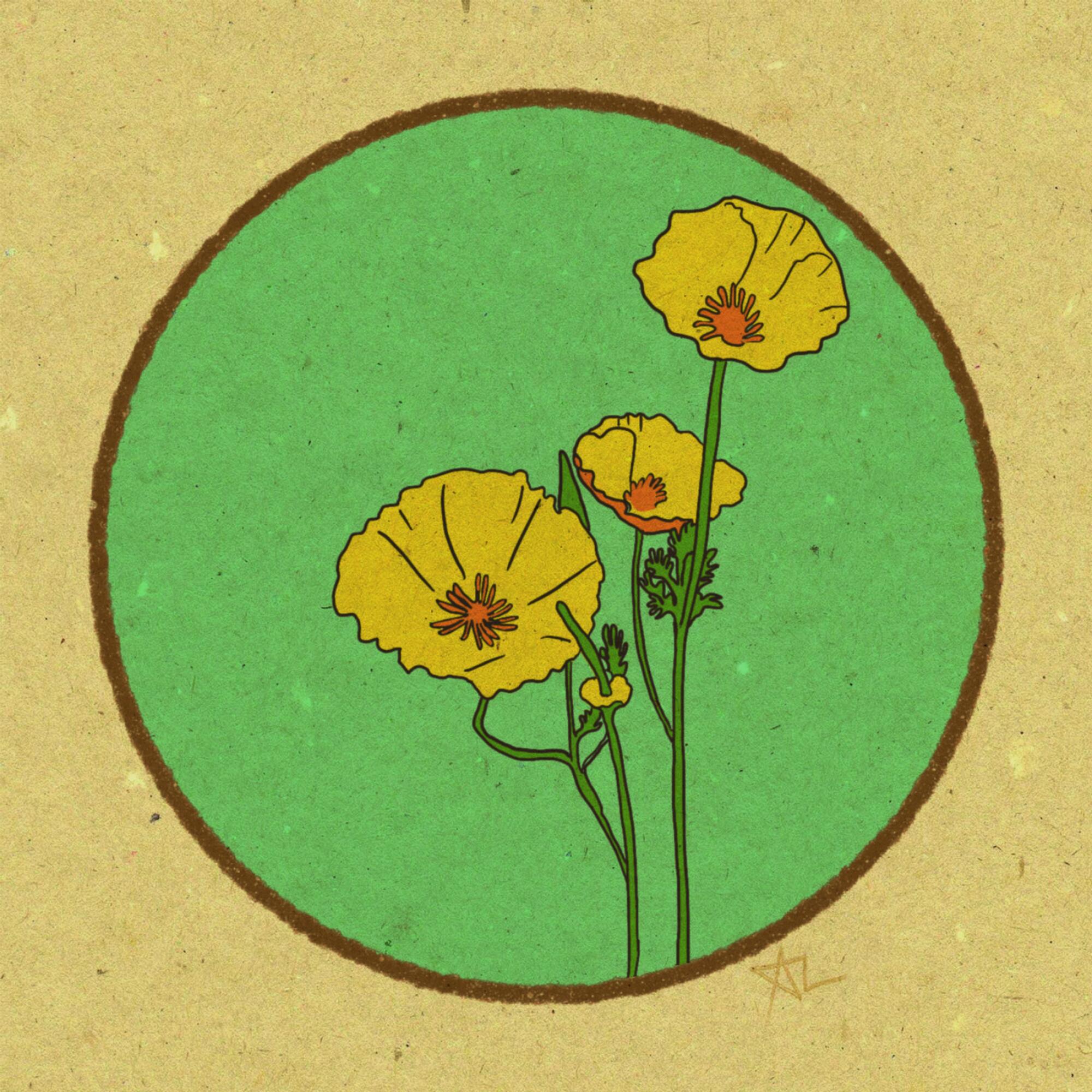 A golden poppies print by Desert Moonrise.