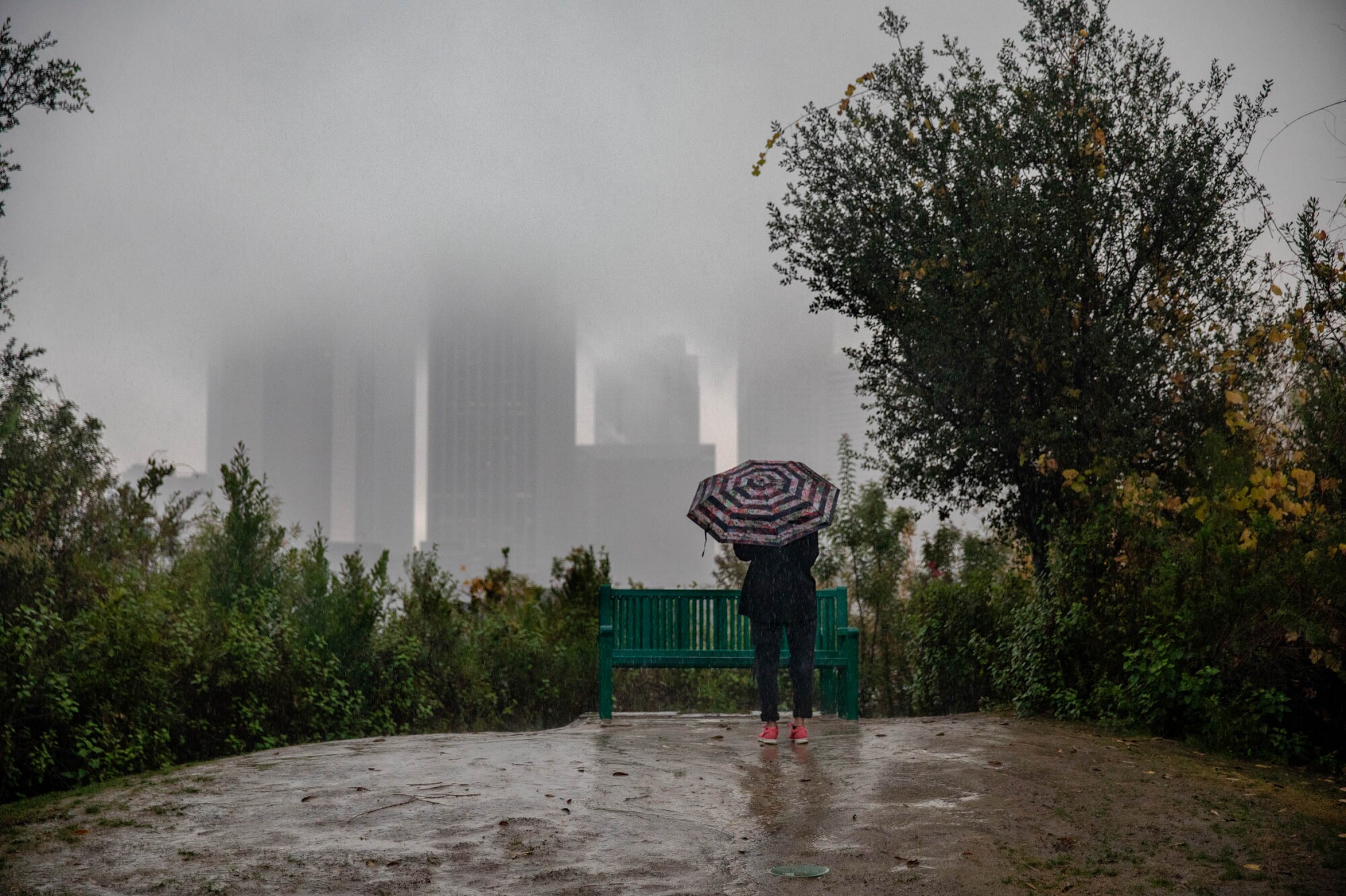 Maria Fernandez takes in the LA skyline on a rainy afternoon in Vista Hermosa Natural Park. 