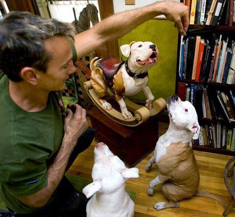 Tim Racer gives treats to two of his dogs: Honky Tonk, left, and Sally, the pit bull that changed the lives of Racer and his wife, Donna Reynolds. A carving of Sally sits nearby. Racer and Reynolds run a pit bull rescue and awareness organization called BAD RAP and are trying to find homes for the dogs.
