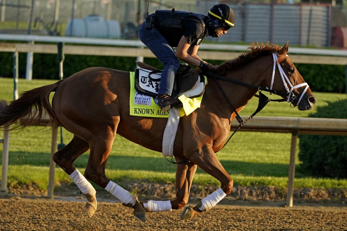 Known Agenda works out at Churchill Downs on Tuesday.