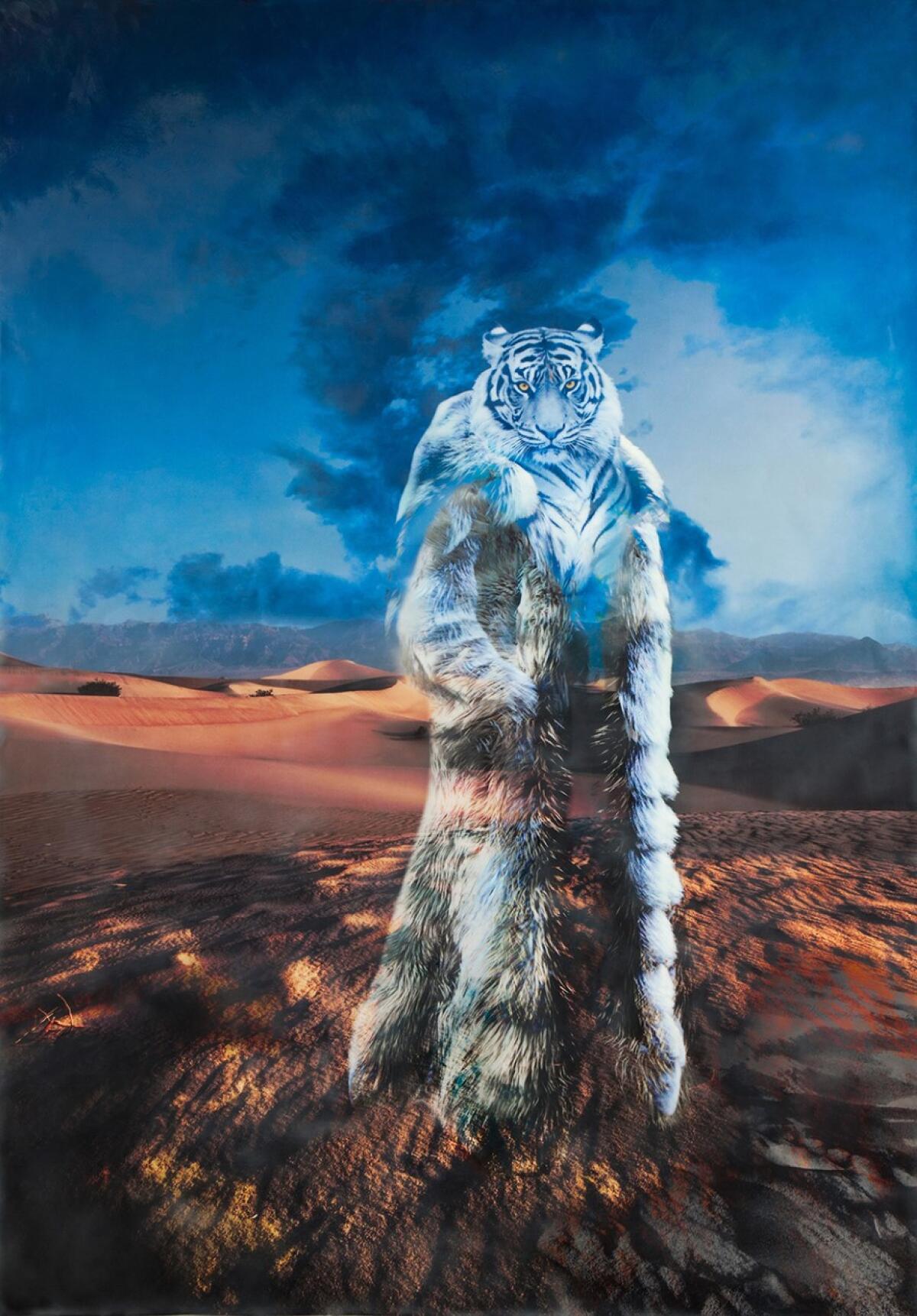 “Desert Diva” by Jiela Rufeh