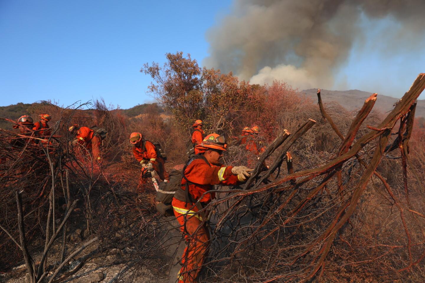 Colt Fire increases to 1,500 acres with 0% containment