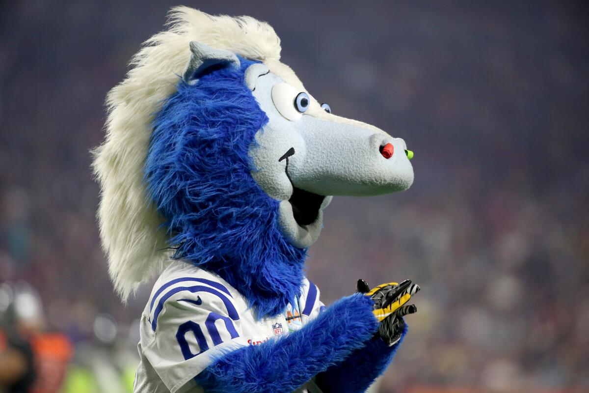 The Indianapolis Colts mascot during the NFL Pro Bowl Game