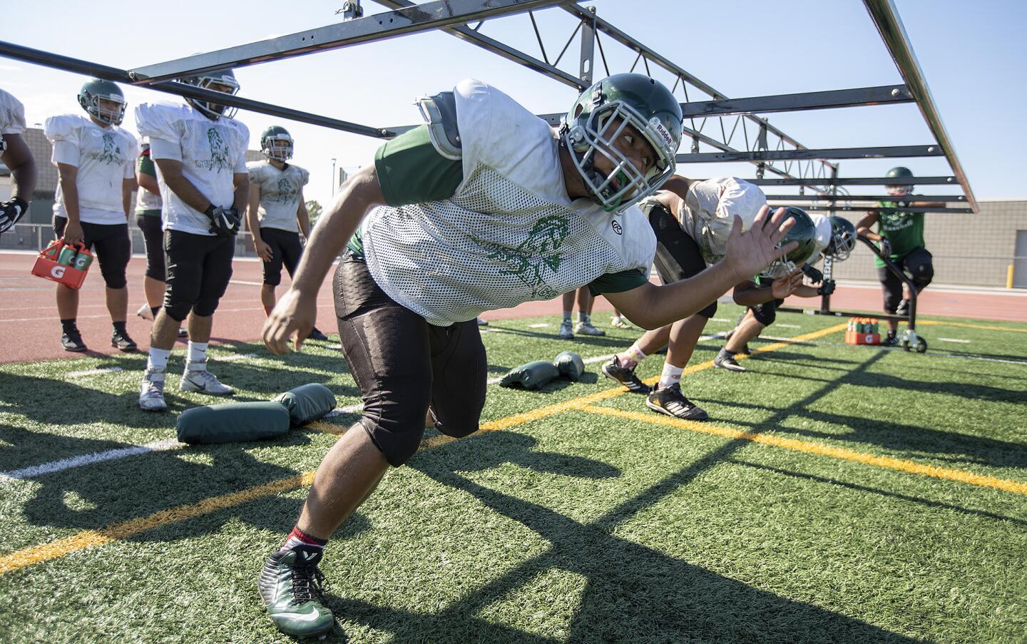 Photo Gallery: Costa Mesa High football practice