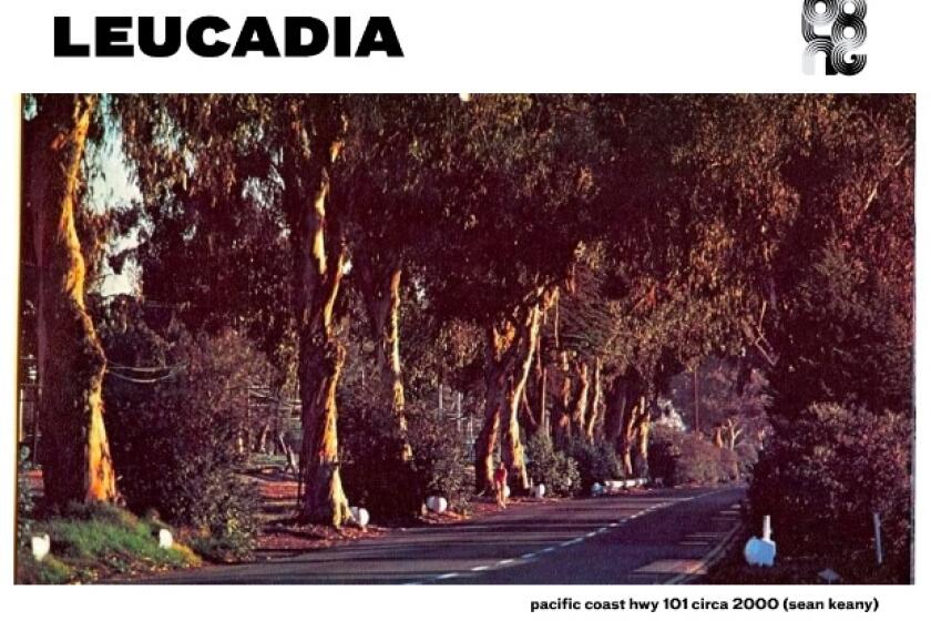 Oolong Gallery presents "Leucadia" a joint show with the Brown Studio architecture firm.