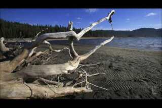 California drought hits new record high