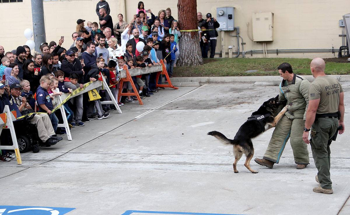 Photo Gallery: Annual Glendale Police Dept. Open House