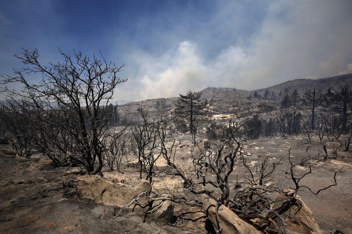 Charred landscape along Apple Canyon Road in Mountain Center