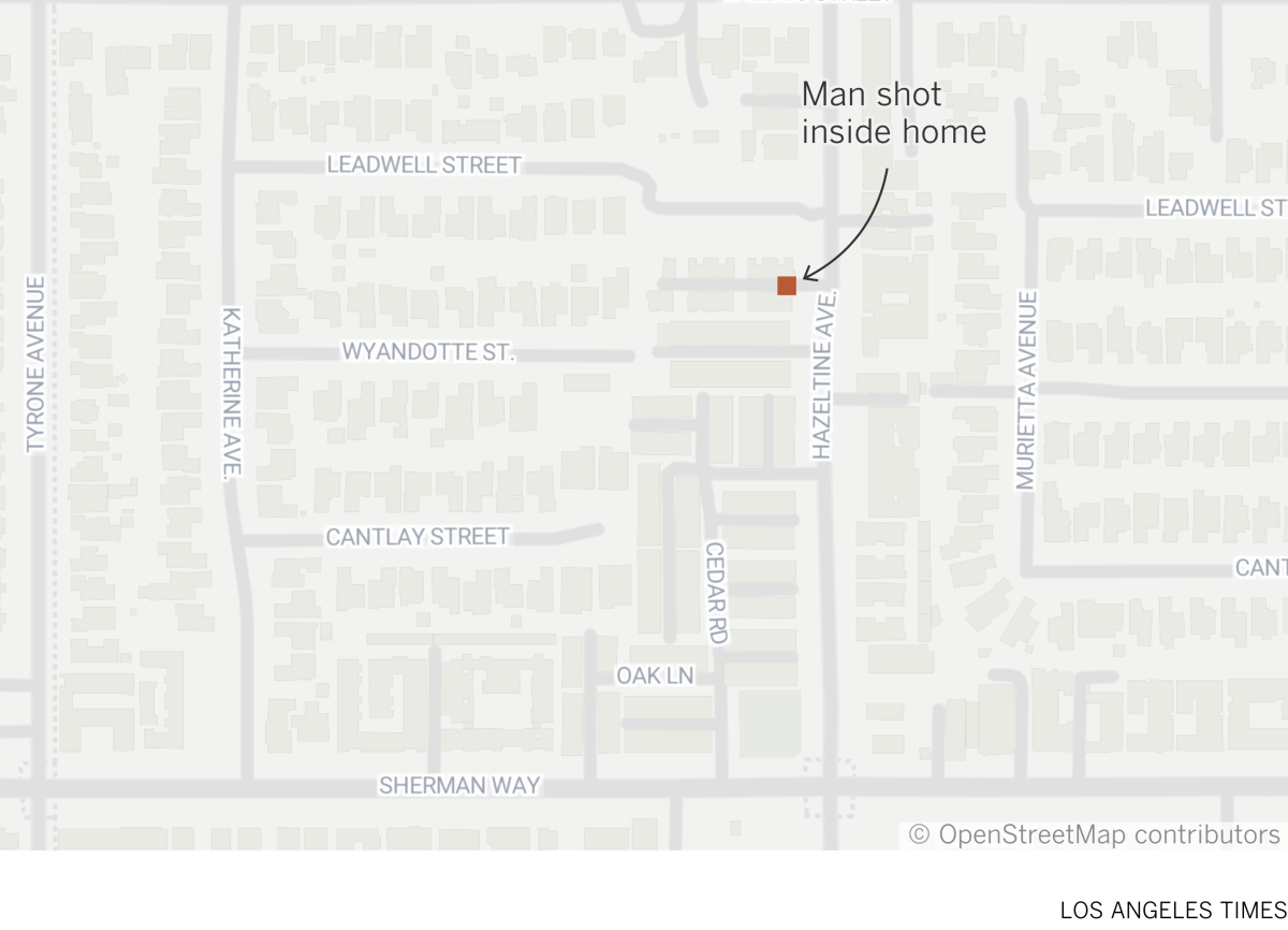 Man shot inside home in Van Nuys