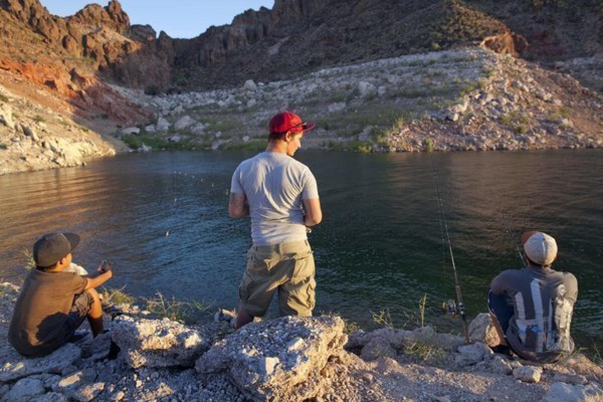 Kids fishing at Kingman Wash wait for bass to bite at Lake Mead National Recreation Area in Arizona. A "bathtub ring" marking Lake Mead's highest levels is visible in the background.