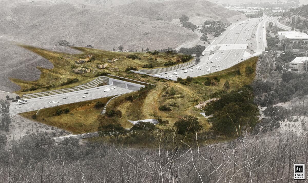 A rendering shows a bridge covered in wilderness landscape over the 101 Freeway