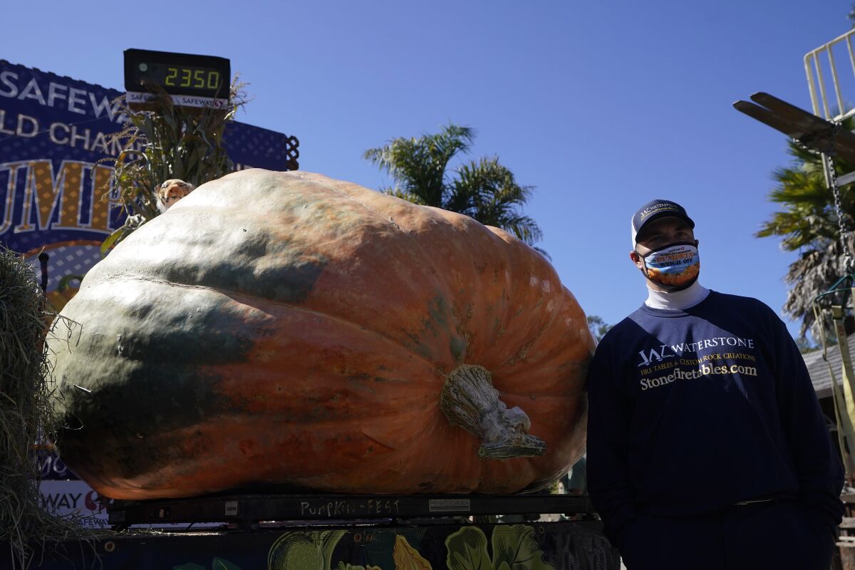 Travis Gienger poses next to his contest-winning pumpkin, which weighed in at 2,350 pounds.