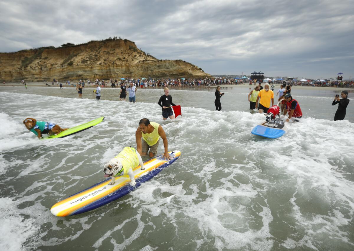 Participants head out to surf in the 18th annual Surf Dog Surf-A-Thon in Del Mar Sunday.