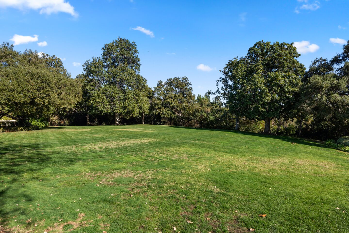 Wide view of the lawn with trees behind it