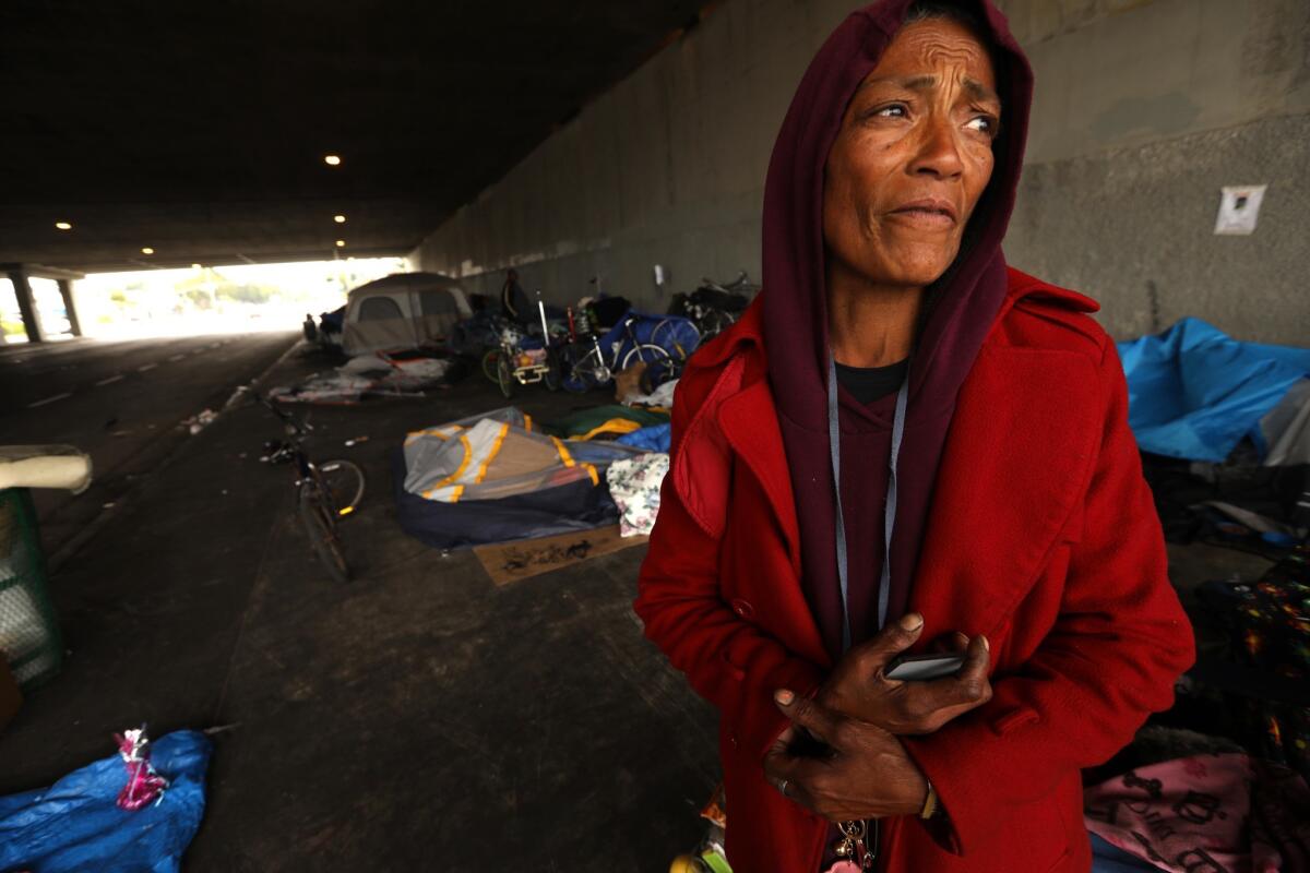 Linda Miranda, 62, at the encampment where she lives, on Venice Boulevard underneath the 405 Freeway.
